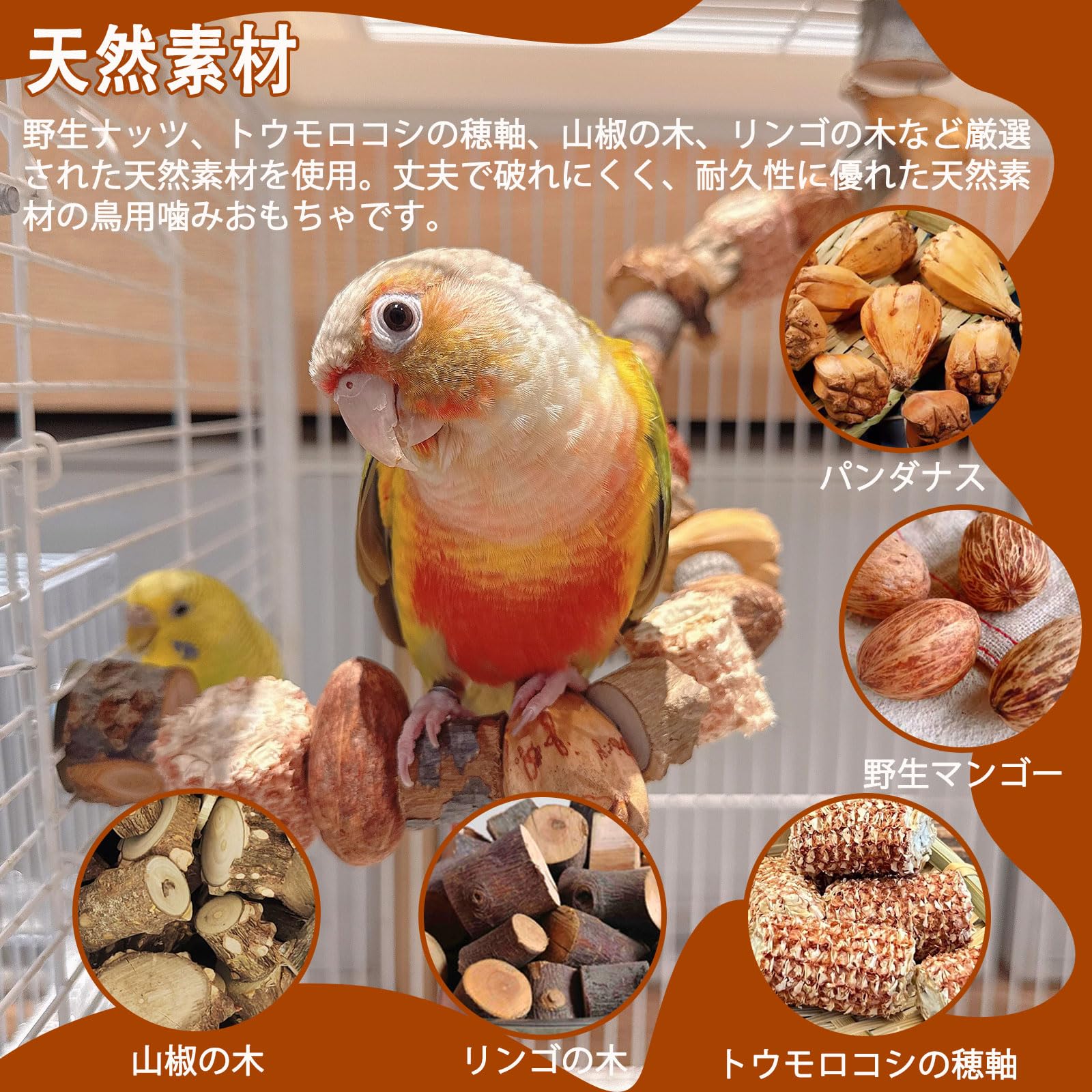 Amazon | MAIYADUO インコ おもちゃ 止まり木 鳥用パーチ 木バード